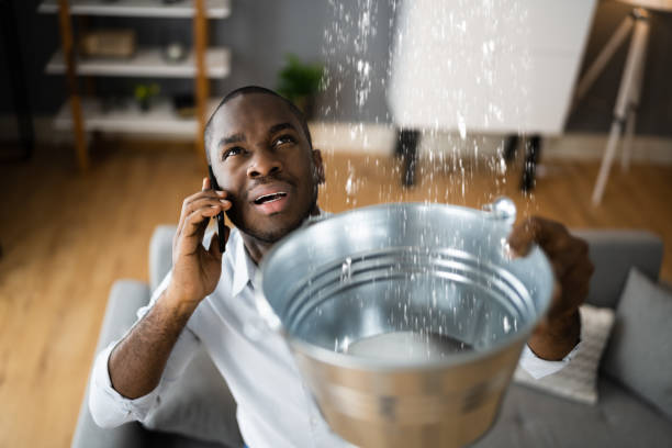 Best Flooded house restoration  in Tn Lakes, WI