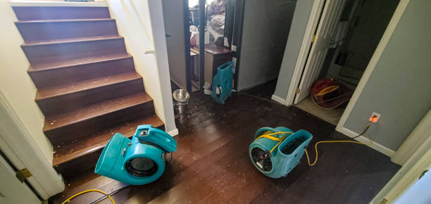 Best Professional water damage repair  in Tn Lakes, WI