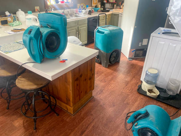  Tn Lakes, WI Water damage restoration Pros