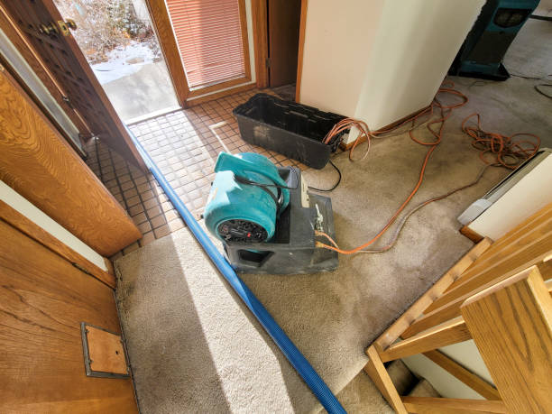 Best Water damage cleanup near me  in Tn Lakes, WI