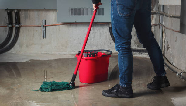 Best Mold removal after water damage  in Tn Lakes, WI