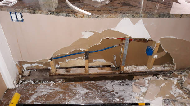 Best Fire Damage Restoration  in Tn Lakes, WI