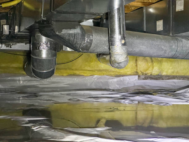 Best Carpet water damage restoration  in Tn Lakes, WI