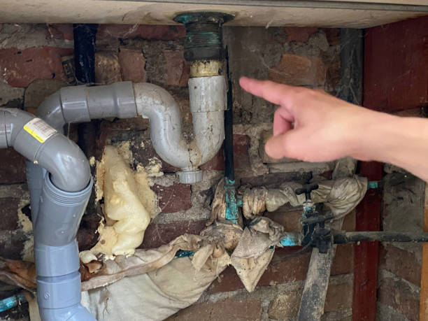 Best Local water damage restoration  in Tn Lakes, WI