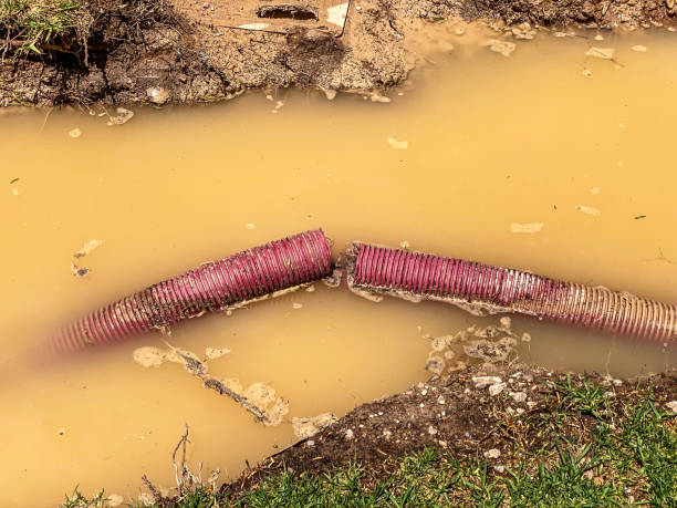 Best 24-hour water damage restoration  in Tn Lakes, WI