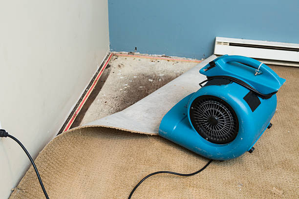 Best Flooded house restoration  in Tn Lakes, WI
